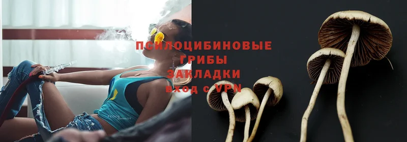 Псилоцибиновые грибы Psilocybe  Микунь 